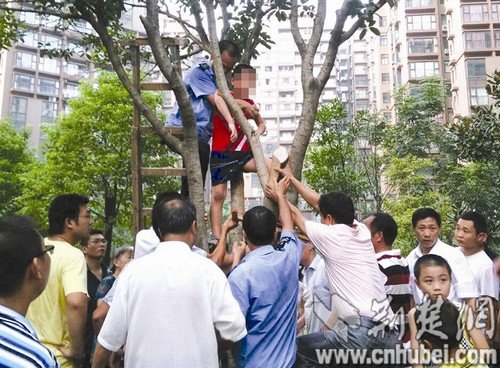 9岁男童爬树脚被卡树杈 保安托举半小时救助_